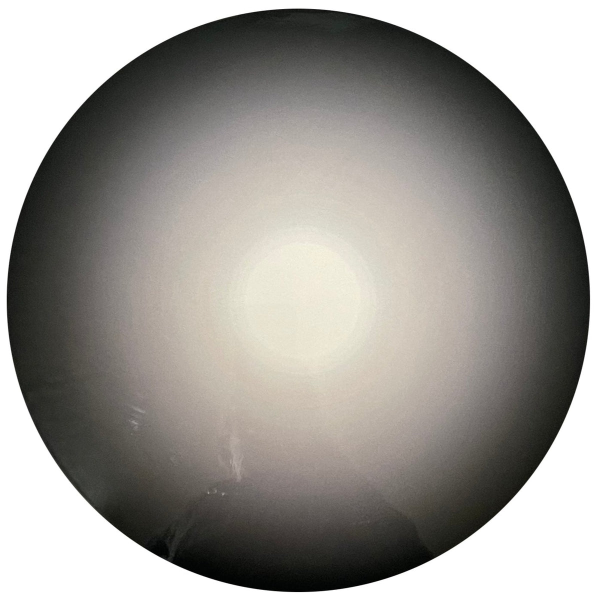 Lacquer Placemat, Black Tisch New York